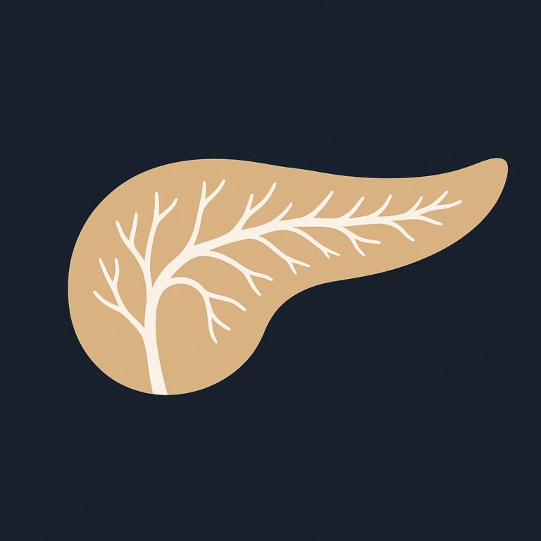 Illustrazione del pancreas con dotti bianchi in stile MRCP e cisti del pancreas (IPMN)