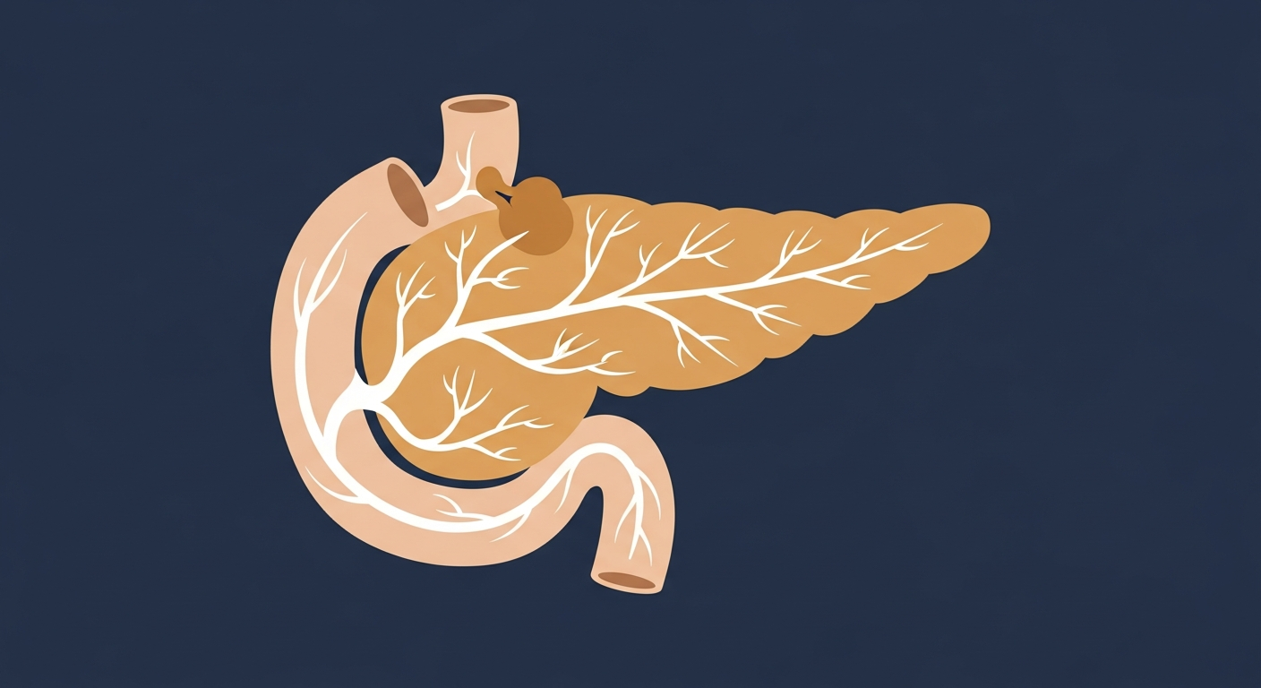 Illustrazione flat del carcinoma del pancreas: organo stilizzato con lesione alla testa e dotti dilatati su sfondo blu notte